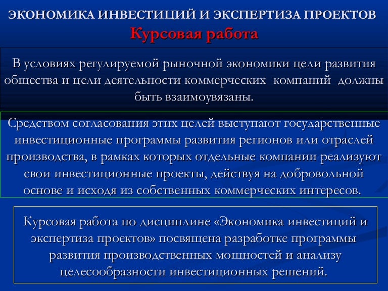 Курсовая Работа Инвестиции 2022